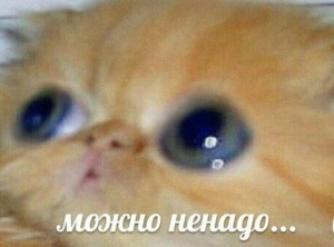 [100.69 KB / : 4886] 
