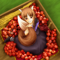 [386.42 KB / : 31]   