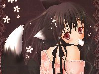 [103.14 KB / : 133]  