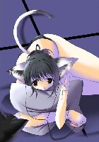 [50.51 KB / : 134]   