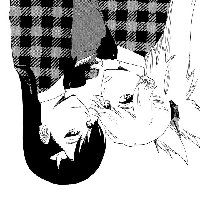 [90.66 KB / : 379] 