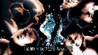 [154.19 KB / : 343] 