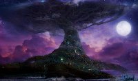 [49.02 KB / : 113] . 